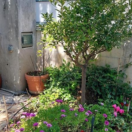 Lenia'S 1 Apartment Артемида Екстериор снимка